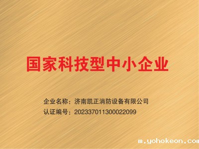 国家科技型中小企业