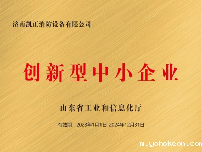 创新型中小企业