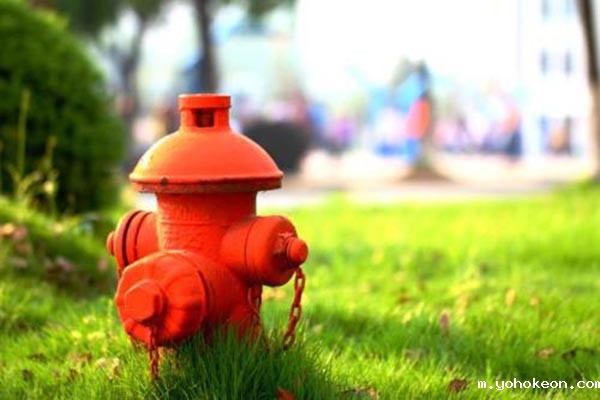 优米体育中心官网下载手机版